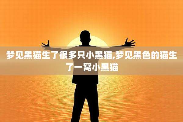 梦见黑猫生了很多只小黑猫,梦见黑色的猫生了一窝小黑猫
