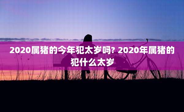 2020属猪的今年犯太岁吗? 2020年属猪的犯什么太岁