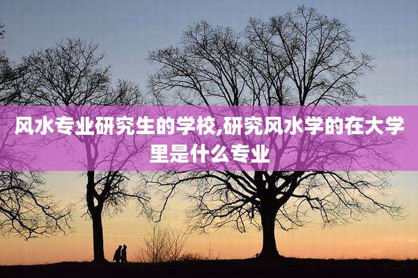 风水专业研究生的学校,研究风水学的在大学里是什么专业