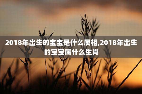 2018年出生的宝宝是什么属相,2018年出生的宝宝属什么生肖