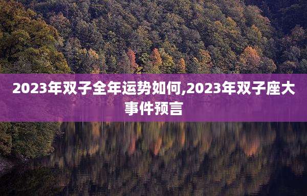 2023年双子全年运势如何,2023年双子座大事件预言