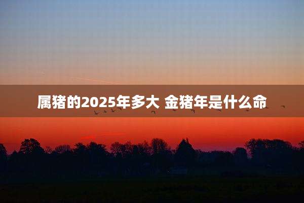属猪的2025年多大 金猪年是什么命