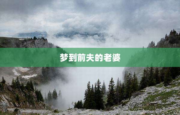 梦到前夫的老婆