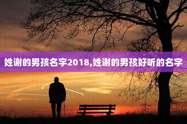 姓谢的男孩名字2018,姓谢的男孩好听的名字