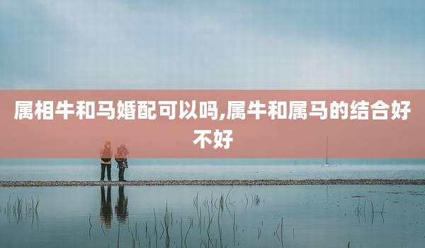 属相牛和马婚配可以吗,属牛和属马的结合好不好
