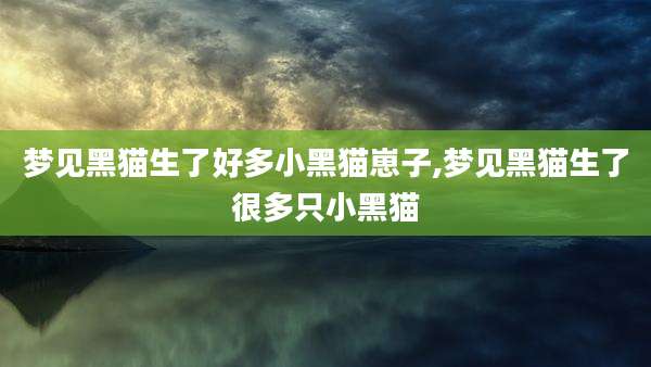 梦见黑猫生了好多小黑猫崽子,梦见黑猫生了很多只小黑猫