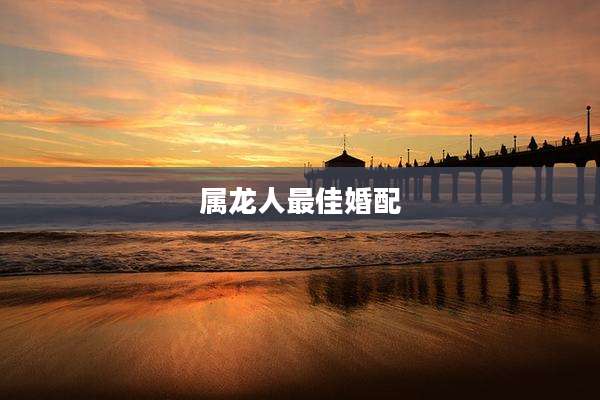 属龙人最佳婚配