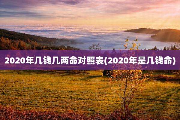 2020年几钱几两命对照表(2020年是几钱命)