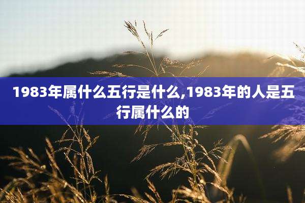 1983年属什么五行是什么,1983年的人是五行属什么的