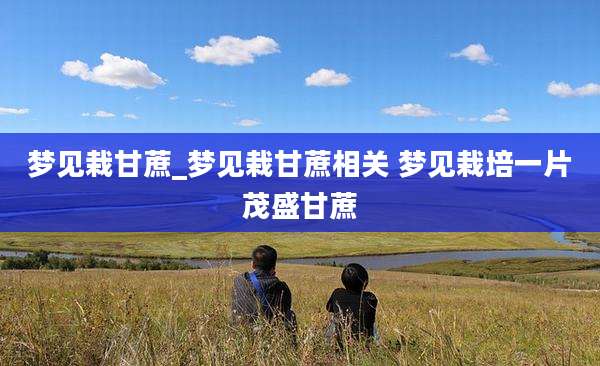 梦见栽甘蔗_梦见栽甘蔗相关 梦见栽培一片茂盛甘蔗