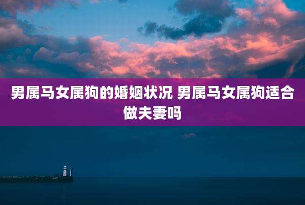 男属马女属狗的婚姻状况 男属马女属狗适合做夫妻吗