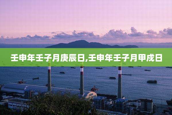 壬申年壬子月庚辰日,壬申年壬子月甲戍日