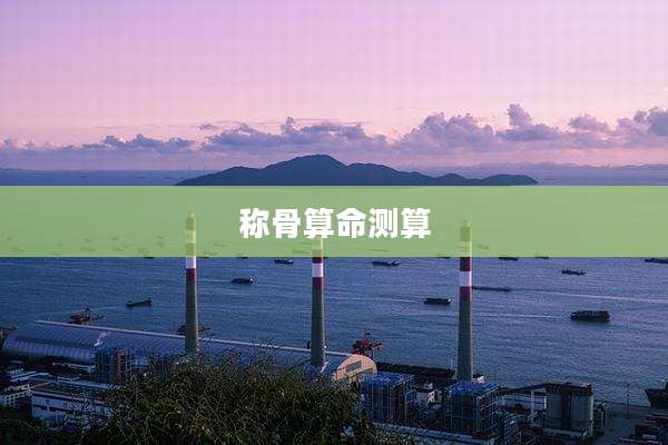 称骨算命测算