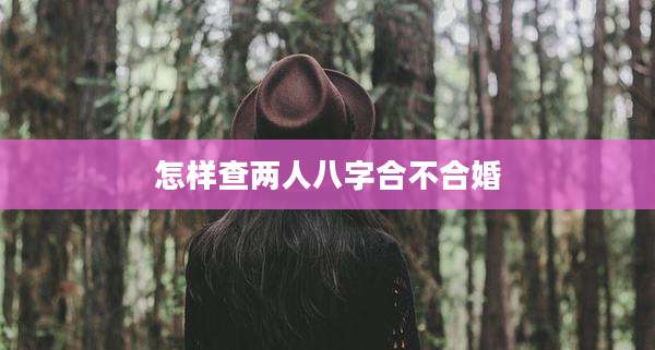 怎样查两人八字合不合婚