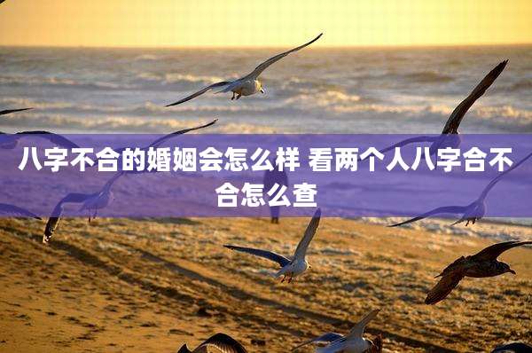 八字不合的婚姻会怎么样 看两个人八字合不合怎么查