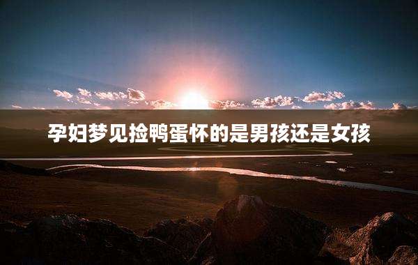 孕妇梦见捡鸭蛋怀的是男孩还是女孩
