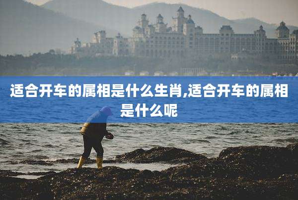 适合开车的属相是什么生肖,适合开车的属相是什么呢
