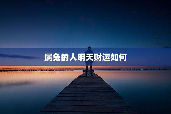 属兔的人明天财运如何