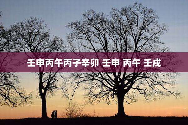 壬申丙午丙子辛卯 壬申 丙午 壬戌