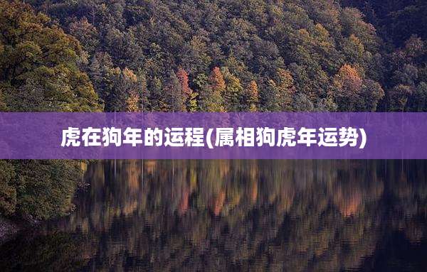 虎在狗年的运程(属相狗虎年运势)