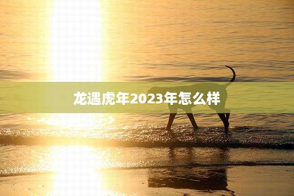 龙遇虎年2023年怎么样