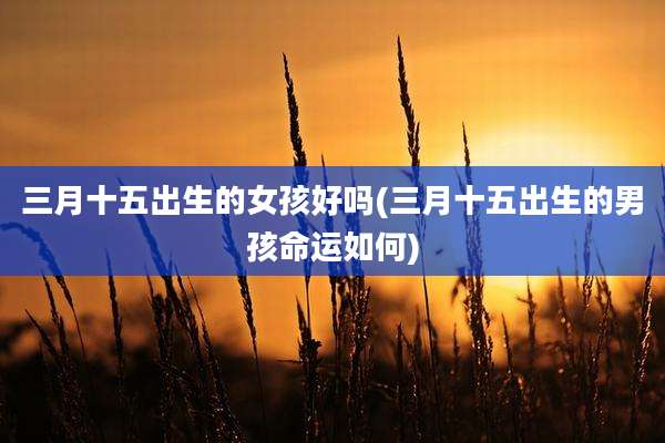 三月十五出生的女孩好吗(三月十五出生的男孩命运如何)