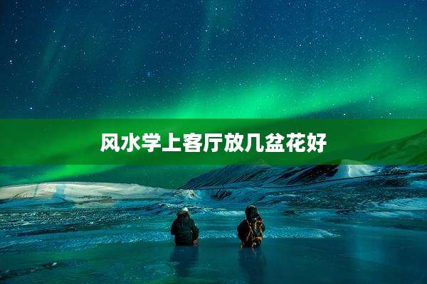 风水学上客厅放几盆花好