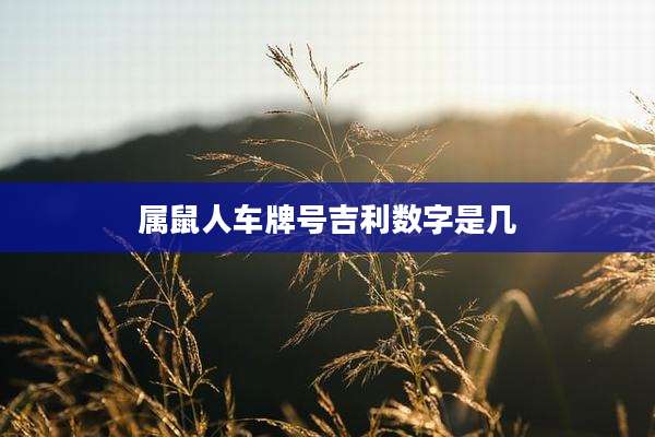 属鼠人车牌号吉利数字是几