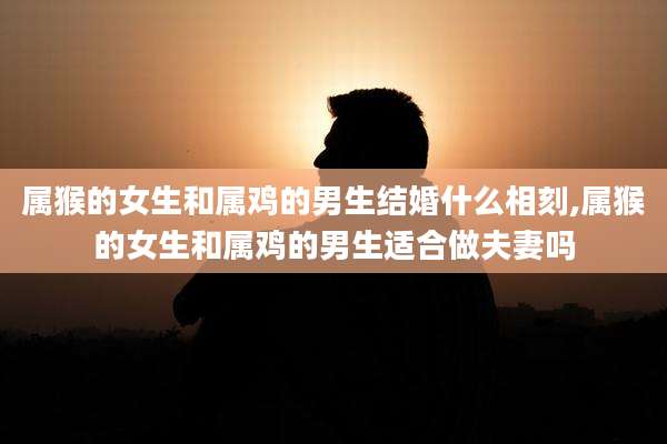 属猴的女生和属鸡的男生结婚什么相刻,属猴的女生和属鸡的男生适合做夫妻吗