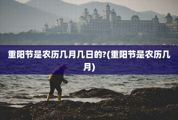 重阳节是农历几月几日的?(重阳节是农历几月)