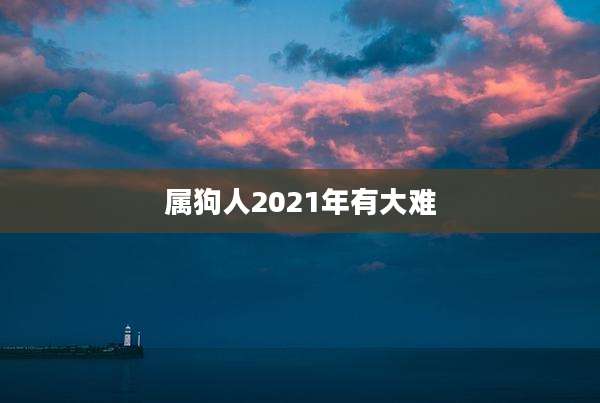 属狗人2021年有大难