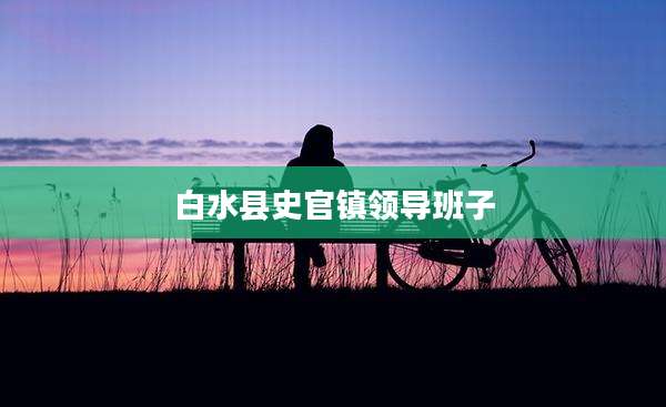 白水县史官镇领导班子