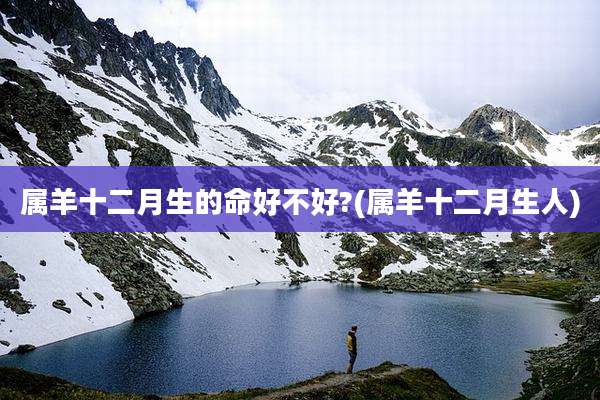 属羊十二月生的命好不好?(属羊十二月生人)