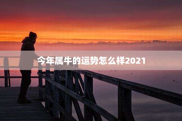 今年属牛的运势怎么样2021
