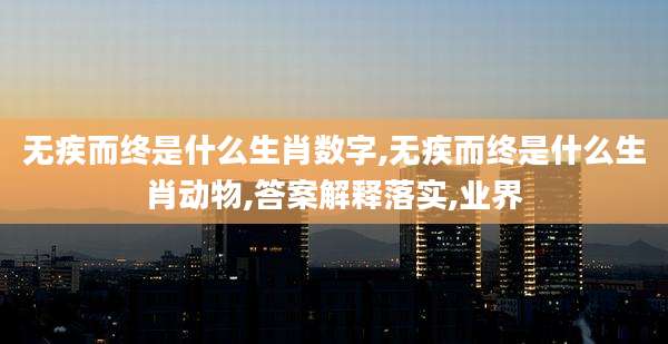 无疾而终是什么生肖数字,无疾而终是什么生肖动物,答案解释落实,业界