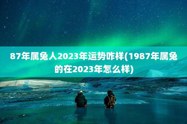 87年属兔人2023年运势咋样(1987年属兔的在2023年怎么样)