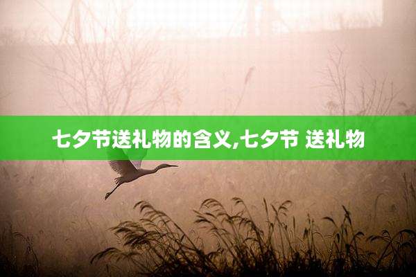七夕节送礼物的含义,七夕节 送礼物
