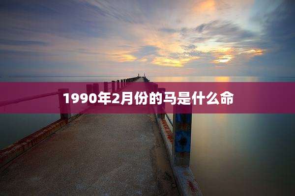 1990年2月份的马是什么命