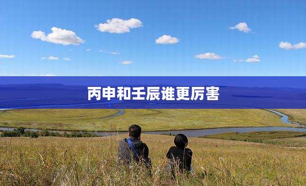 丙申和壬辰谁更厉害