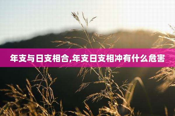年支与日支相合,年支日支相冲有什么危害