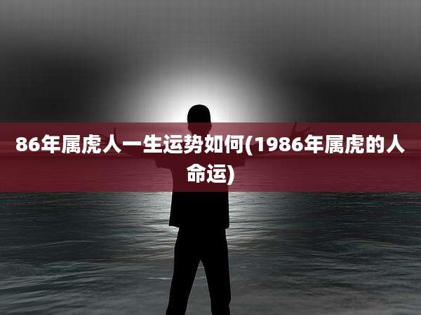 86年属虎人一生运势如何(1986年属虎的人命运)
