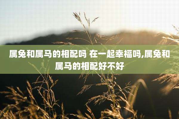 属兔和属马的相配吗 在一起幸福吗,属兔和属马的相配好不好
