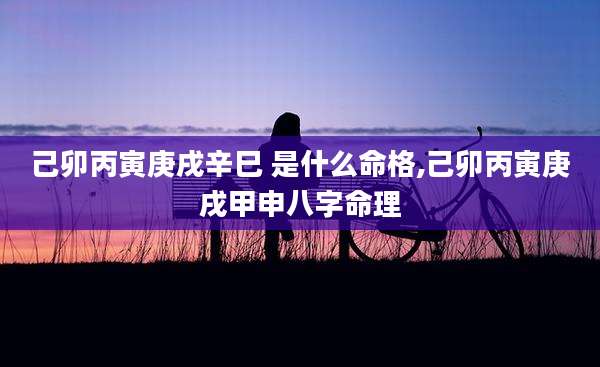 己卯丙寅庚戌辛巳 是什么命格,己卯丙寅庚戌甲申八字命理
