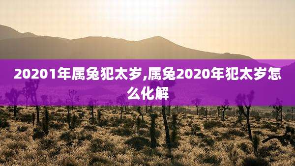 20201年属兔犯太岁,属兔2020年犯太岁怎么化解