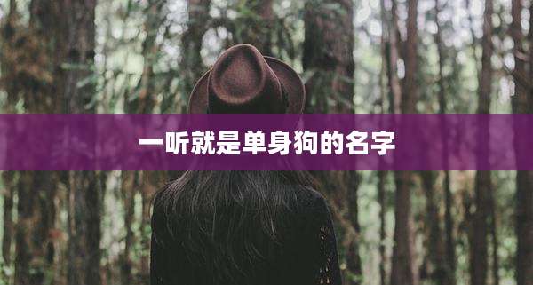 一听就是单身狗的名字