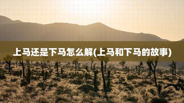 上马还是下马怎么解(上马和下马的故事)