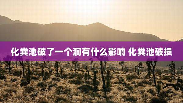 化粪池破了一个洞有什么影响 化粪池破损
