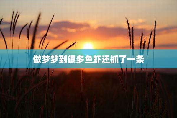 做梦梦到很多鱼虾还抓了一条