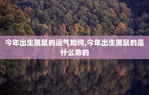 今年出生属鼠的运气如何,今年出生属鼠的是什么命的