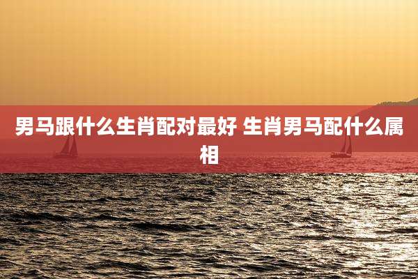 男马跟什么生肖配对最好 生肖男马配什么属相